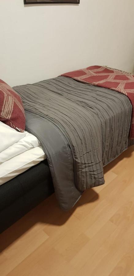 Lentaevae Kalakukko -Veturi B&B 库奥皮奥 外观 照片